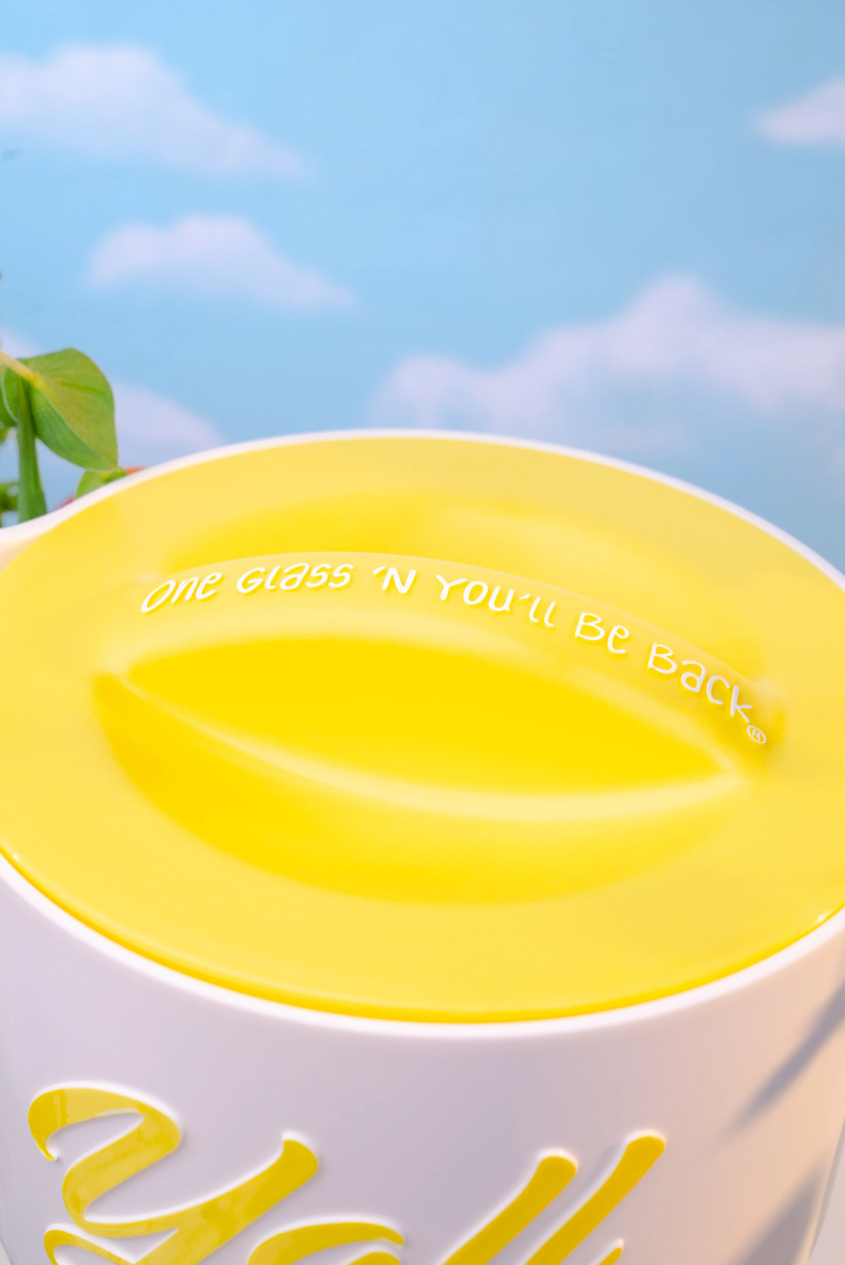 The Pitcher - Image 3