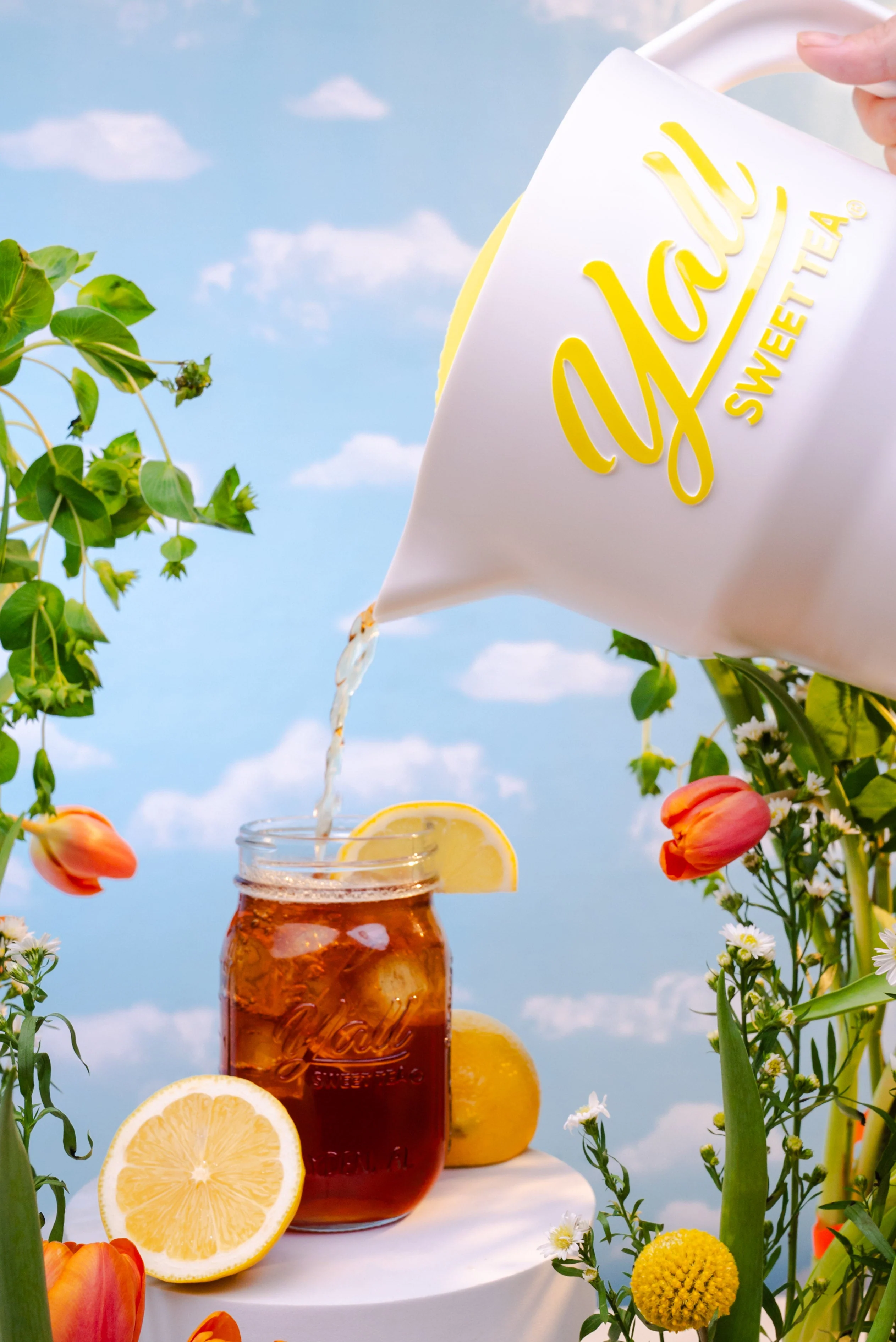 The Pitcher - Image 4